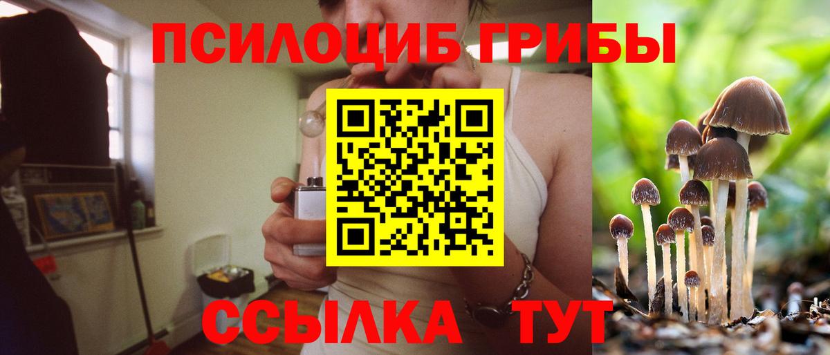 Галлюциногенные грибы мицелий Снежинск